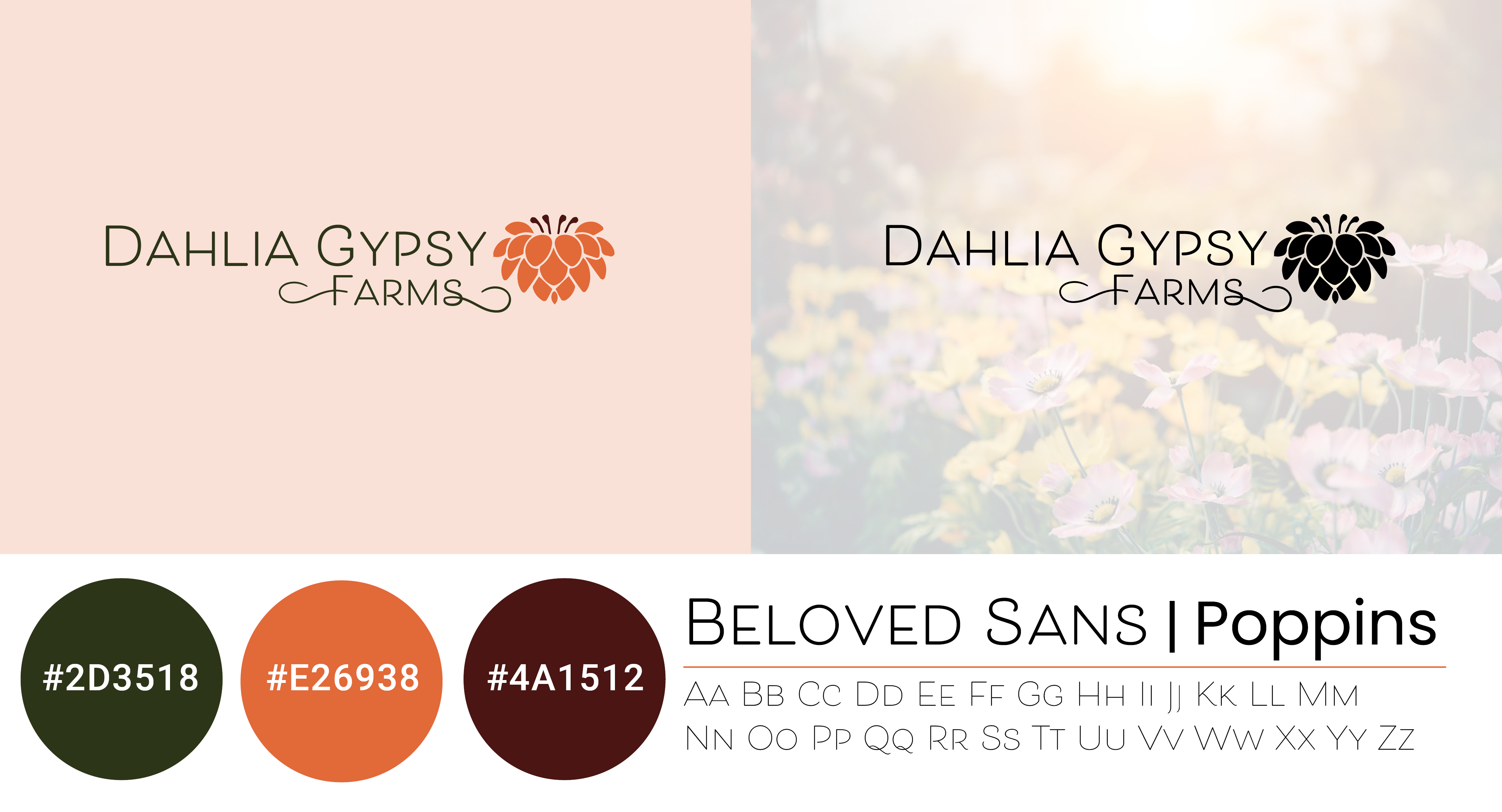 Branding for Dahlia Gypsy Farms.