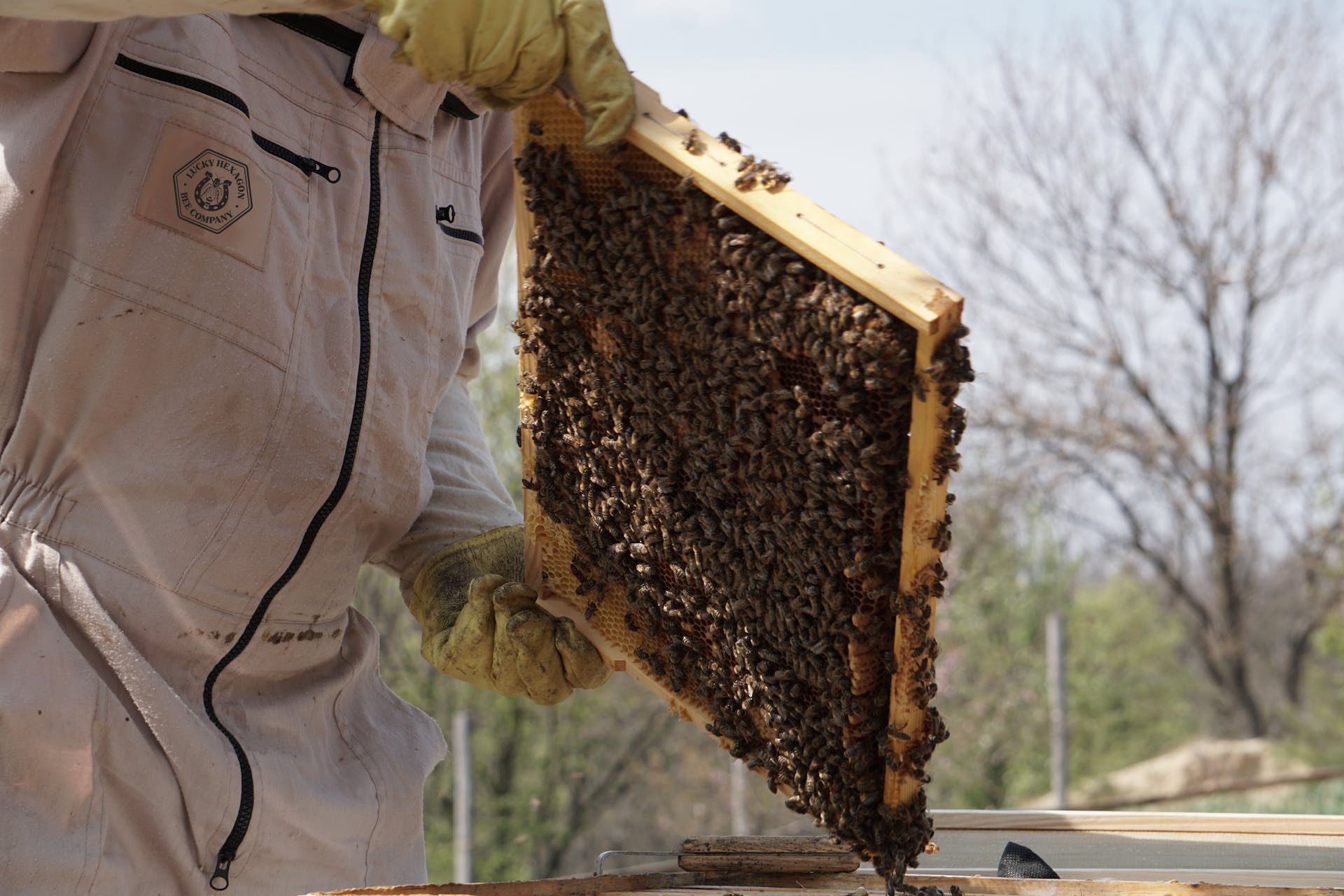 A bee keeper wearing a patch with the Lucky Hexagon logo on the suit.